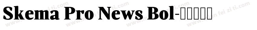 Skema Pro News Bol字体转换